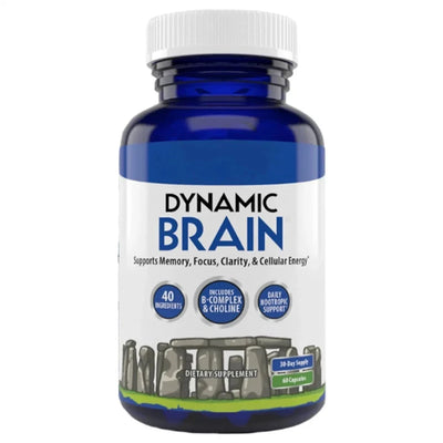 Dynamic Brain