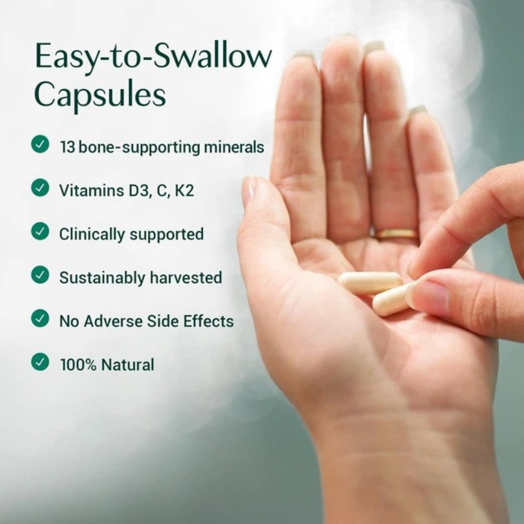 ALGAECAL PLUS for Bone Density & Stronger Bones